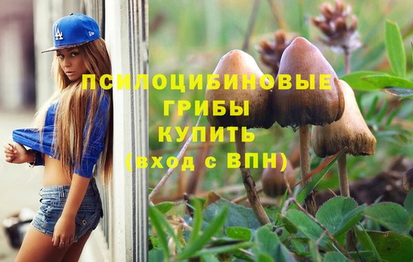 круглые Алексин